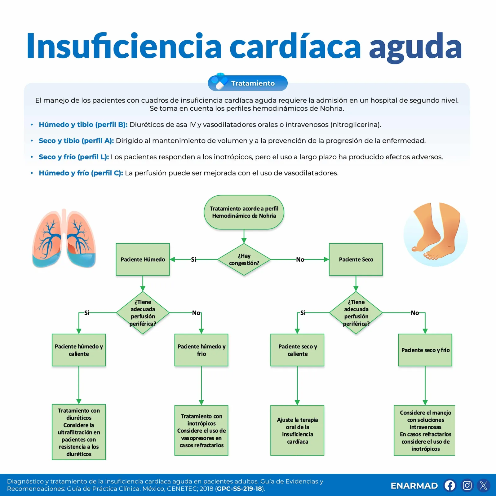 Insuficiencia cardíaca aguda