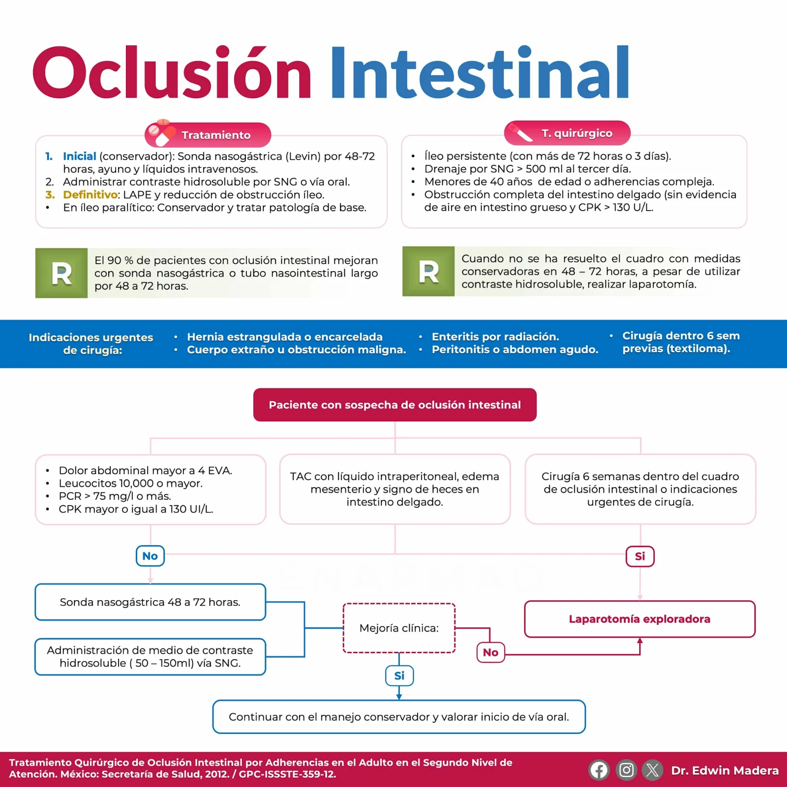 Oclusión intestinal