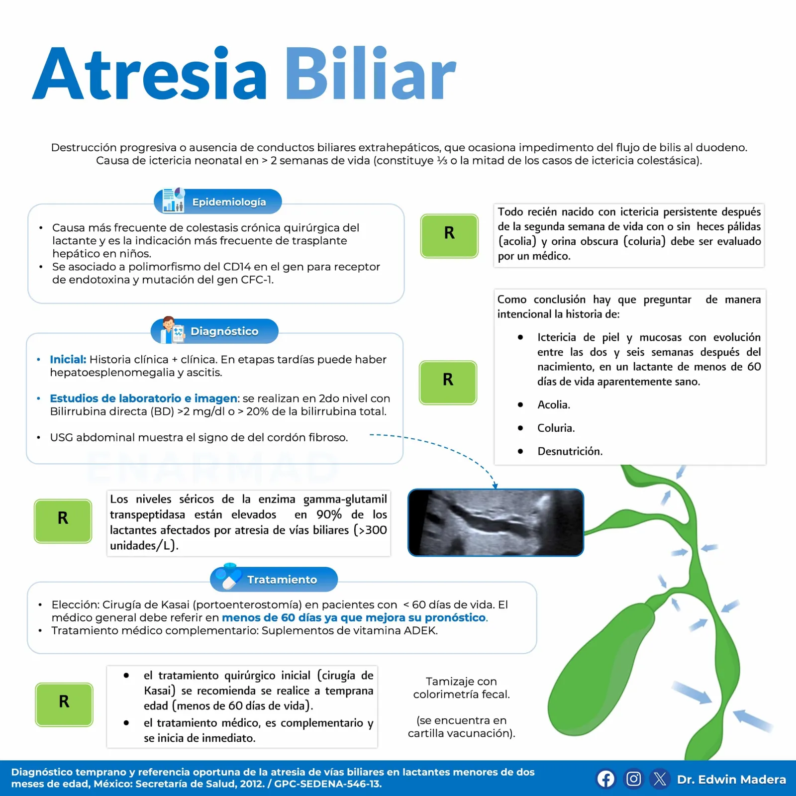 Atresia biliar