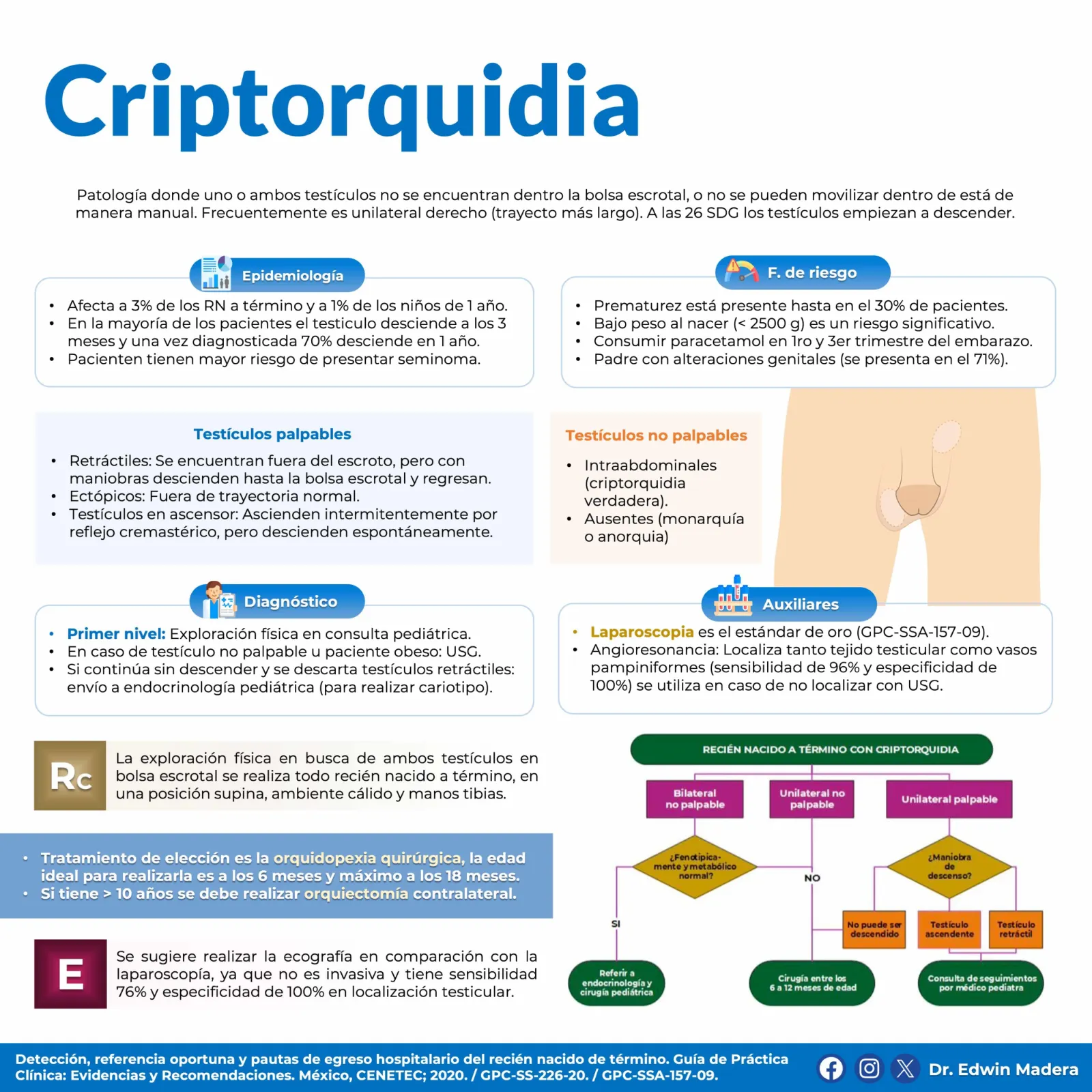 Criptorquidia