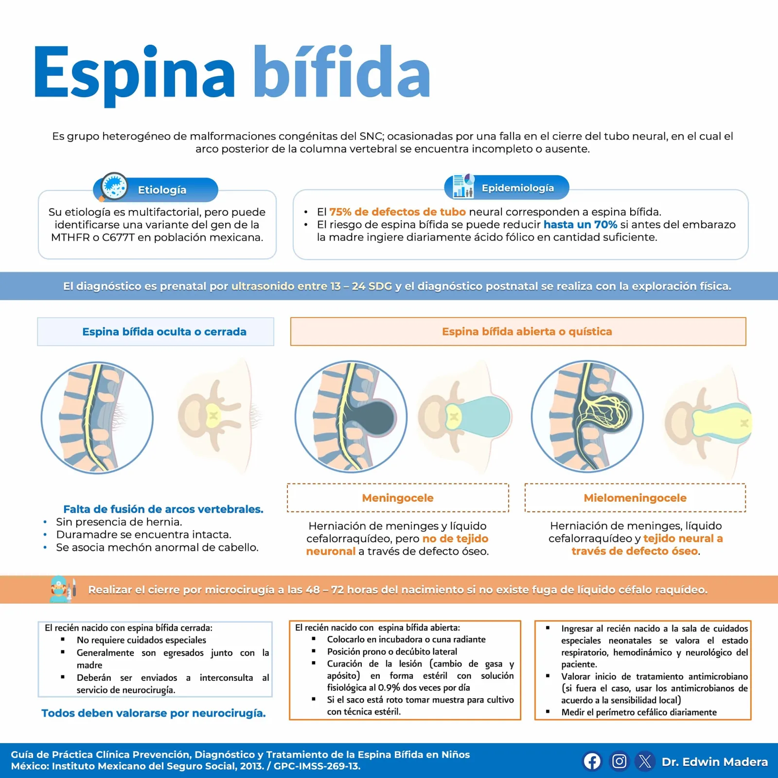 Espina bífida