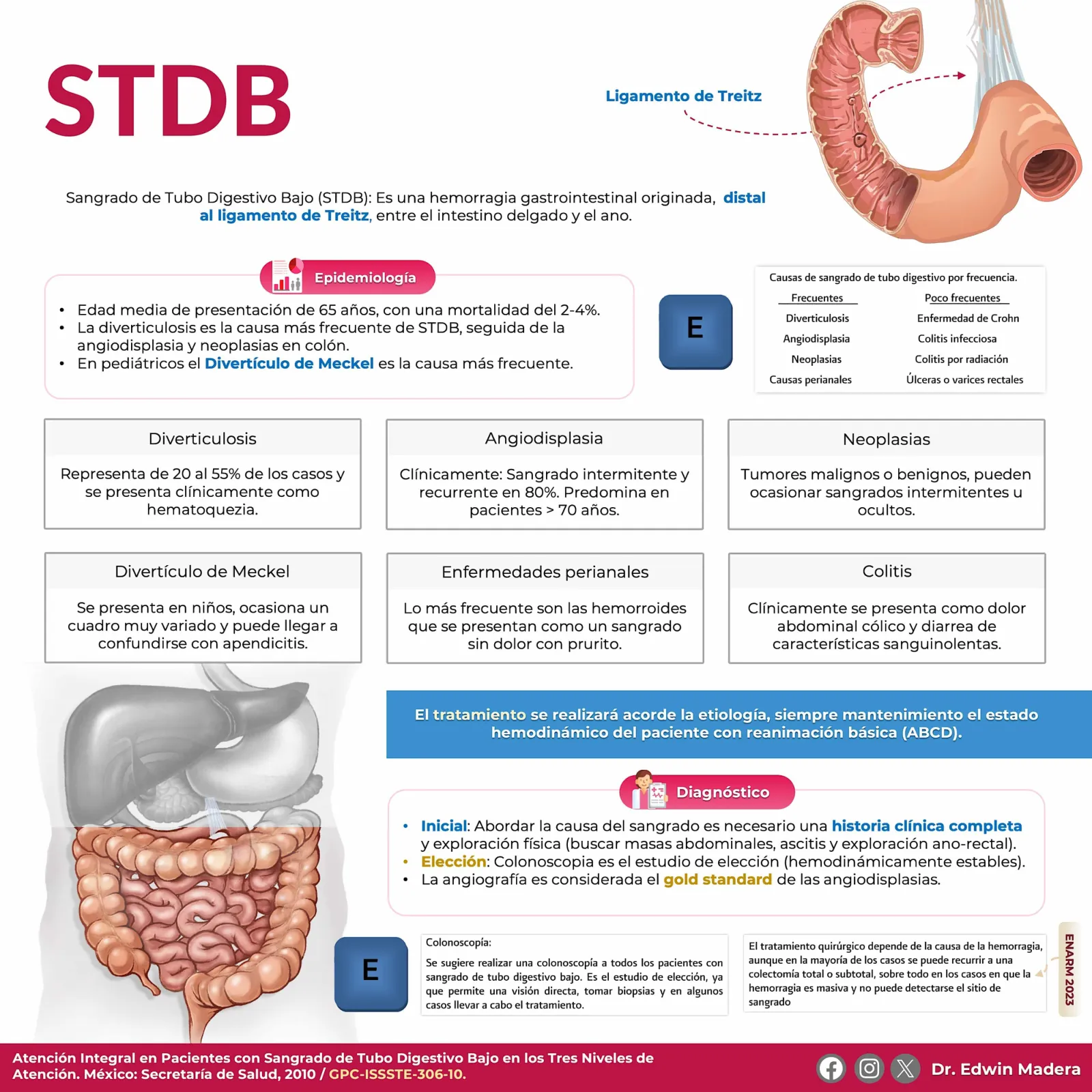 STDB