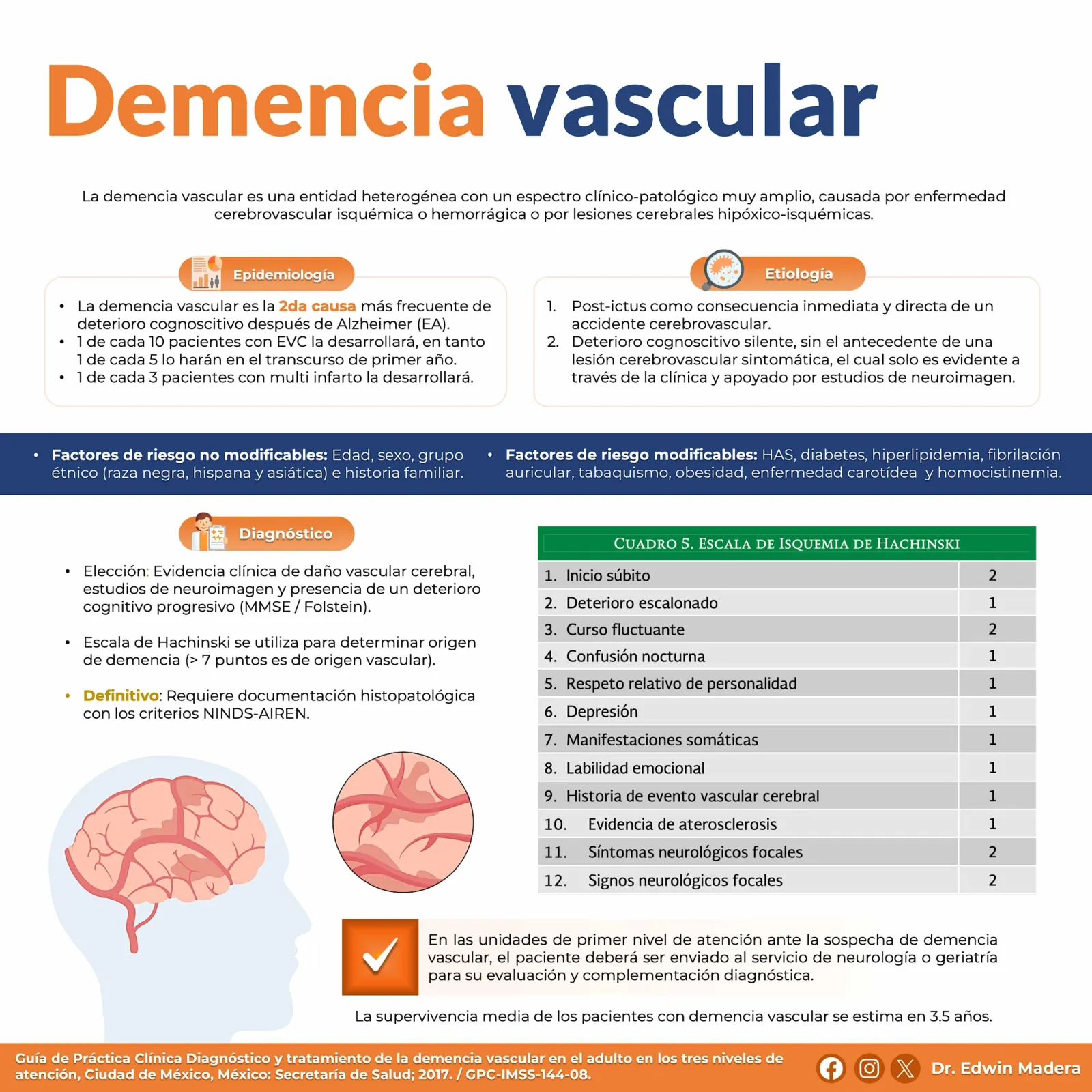 Demencia vascular