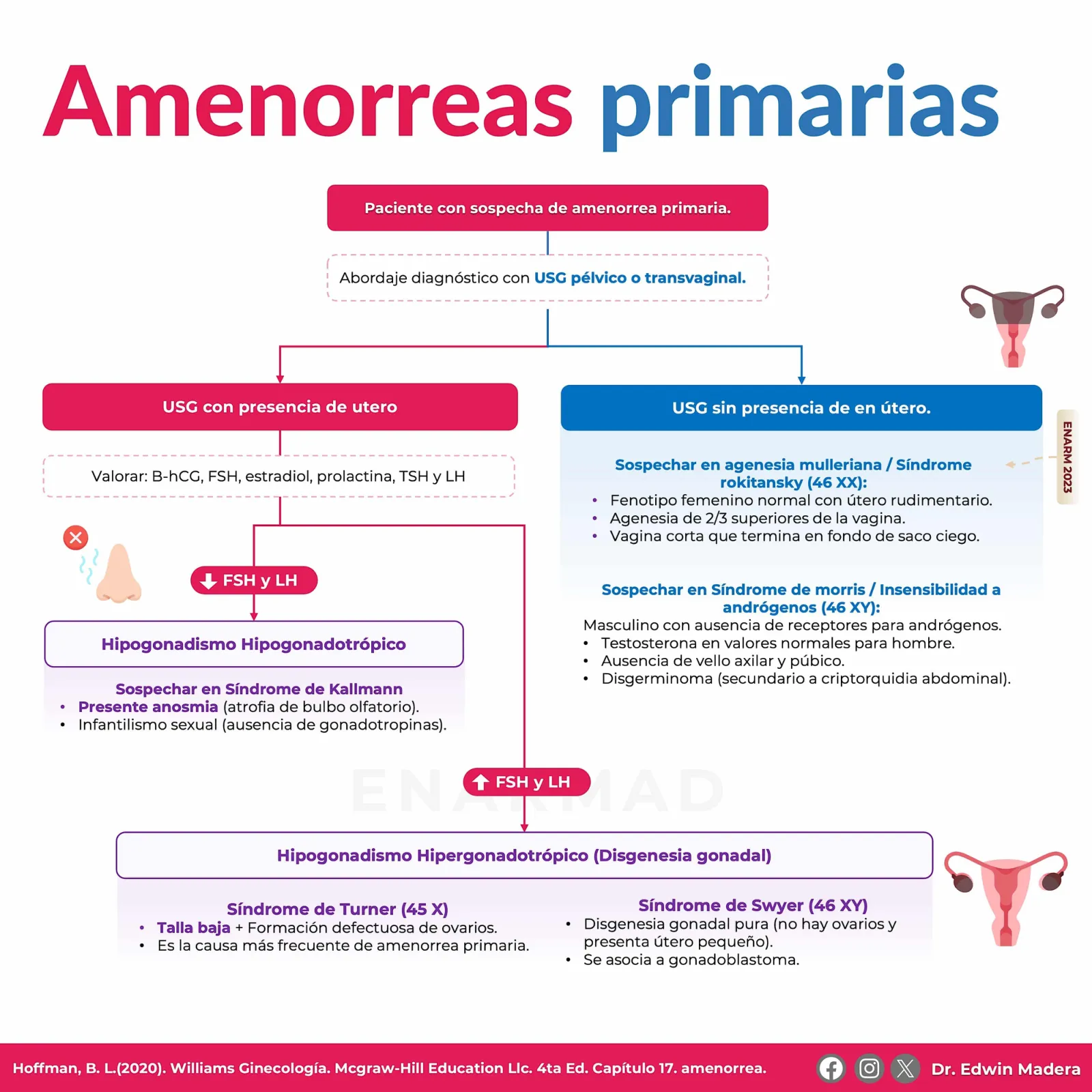 Amenorreas primarias