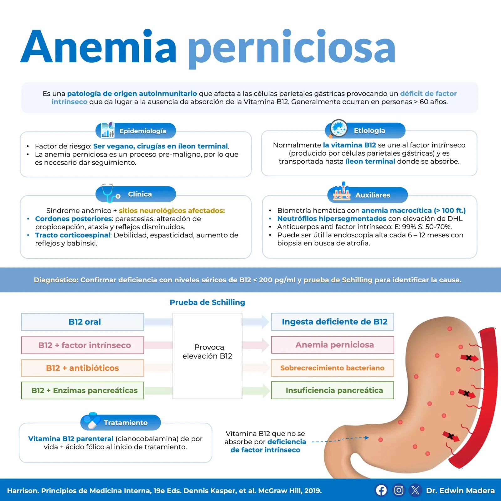 Anemia perniciosa