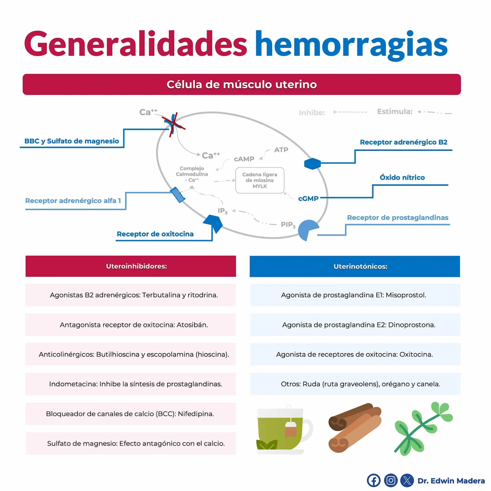 Generalidades de hemorrágias