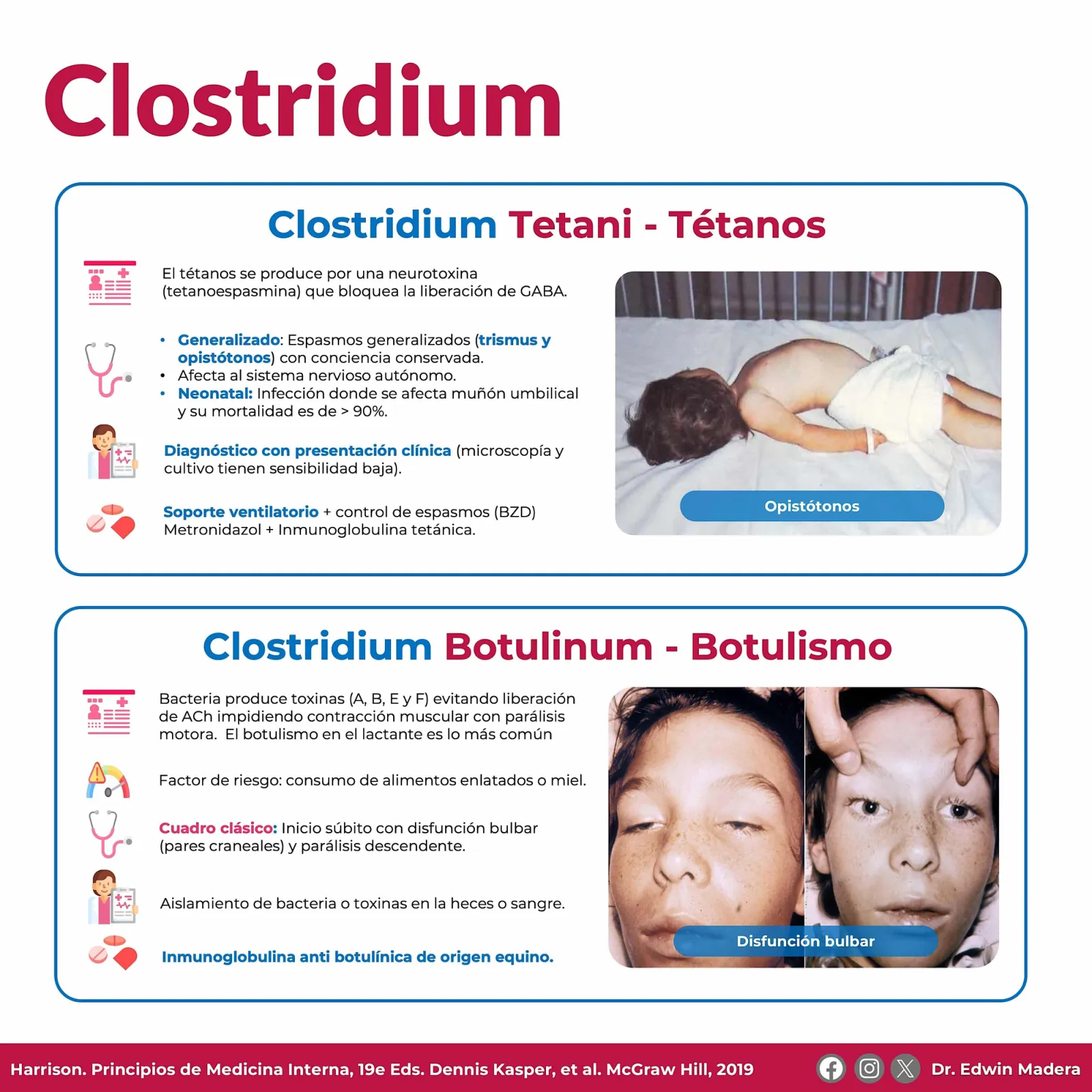 Clostridium