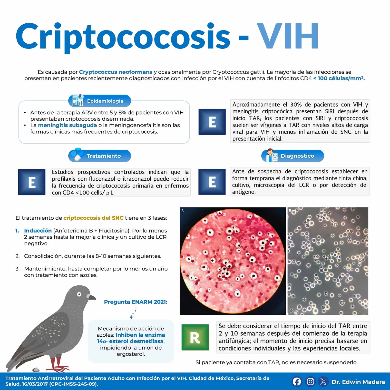 Criptococosis VIH