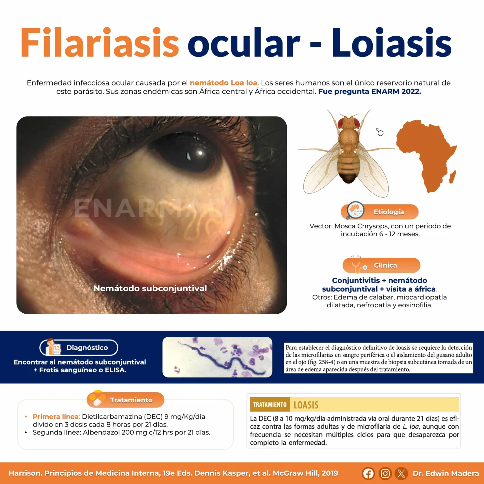 Filariasis ocular Loasis