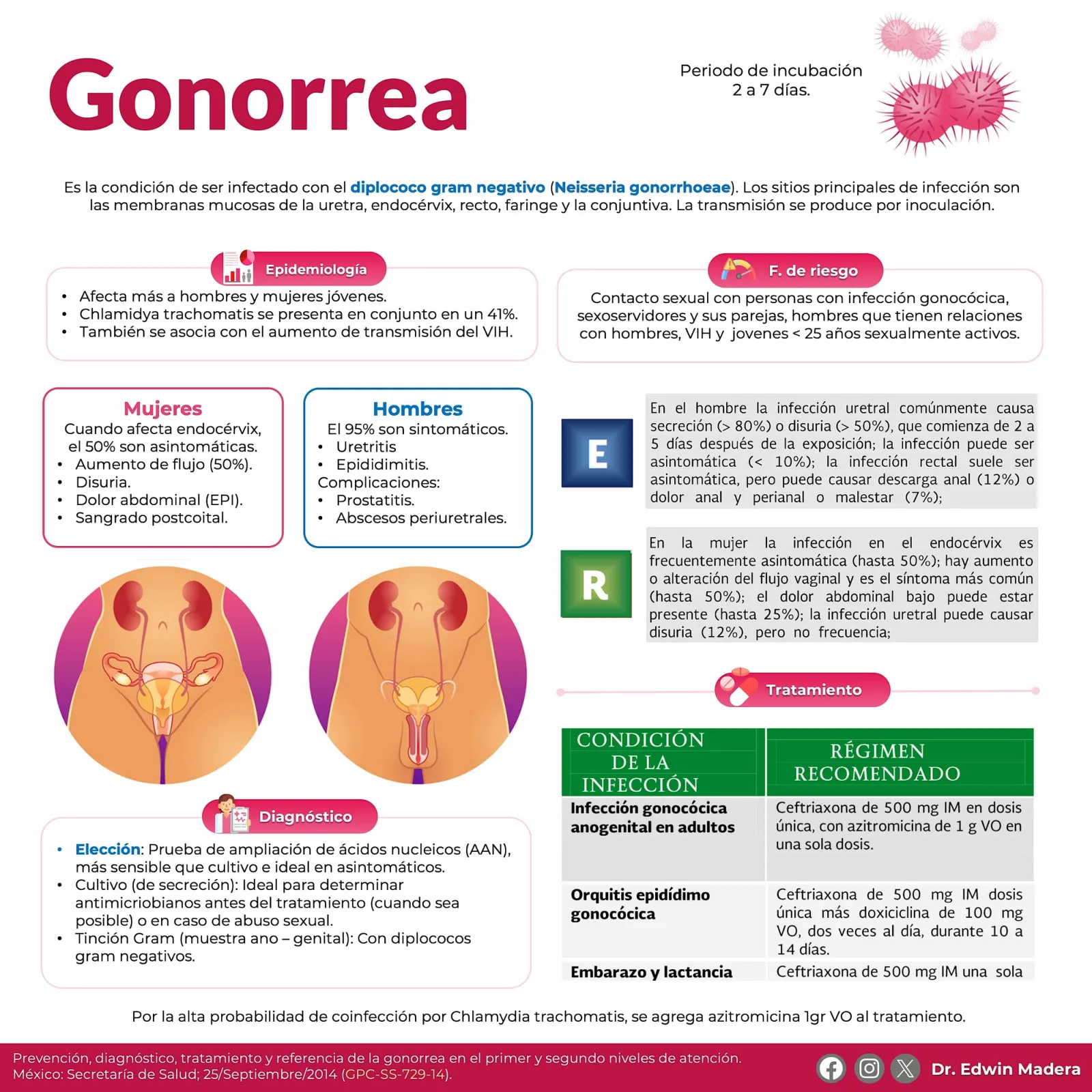 Gonorrea