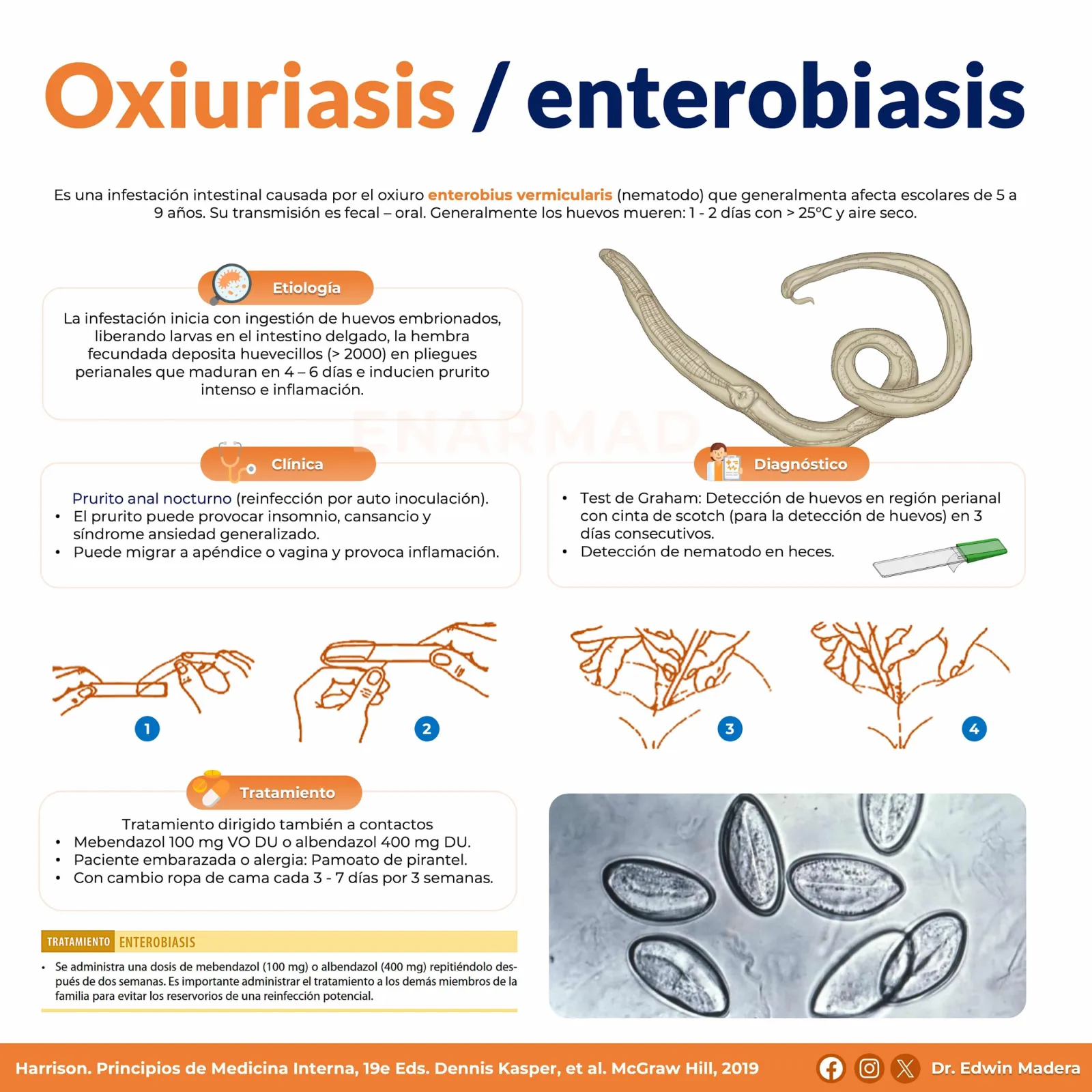 Oxiuriasis o enterobiasis
