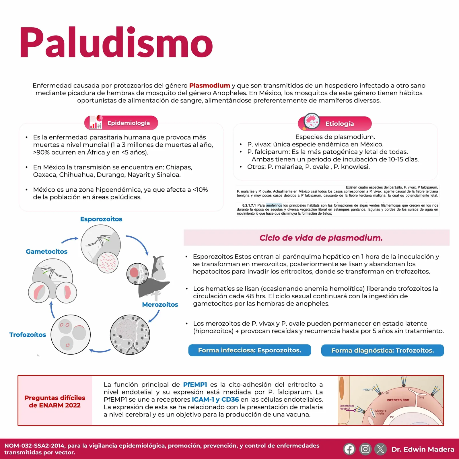 Paludismo