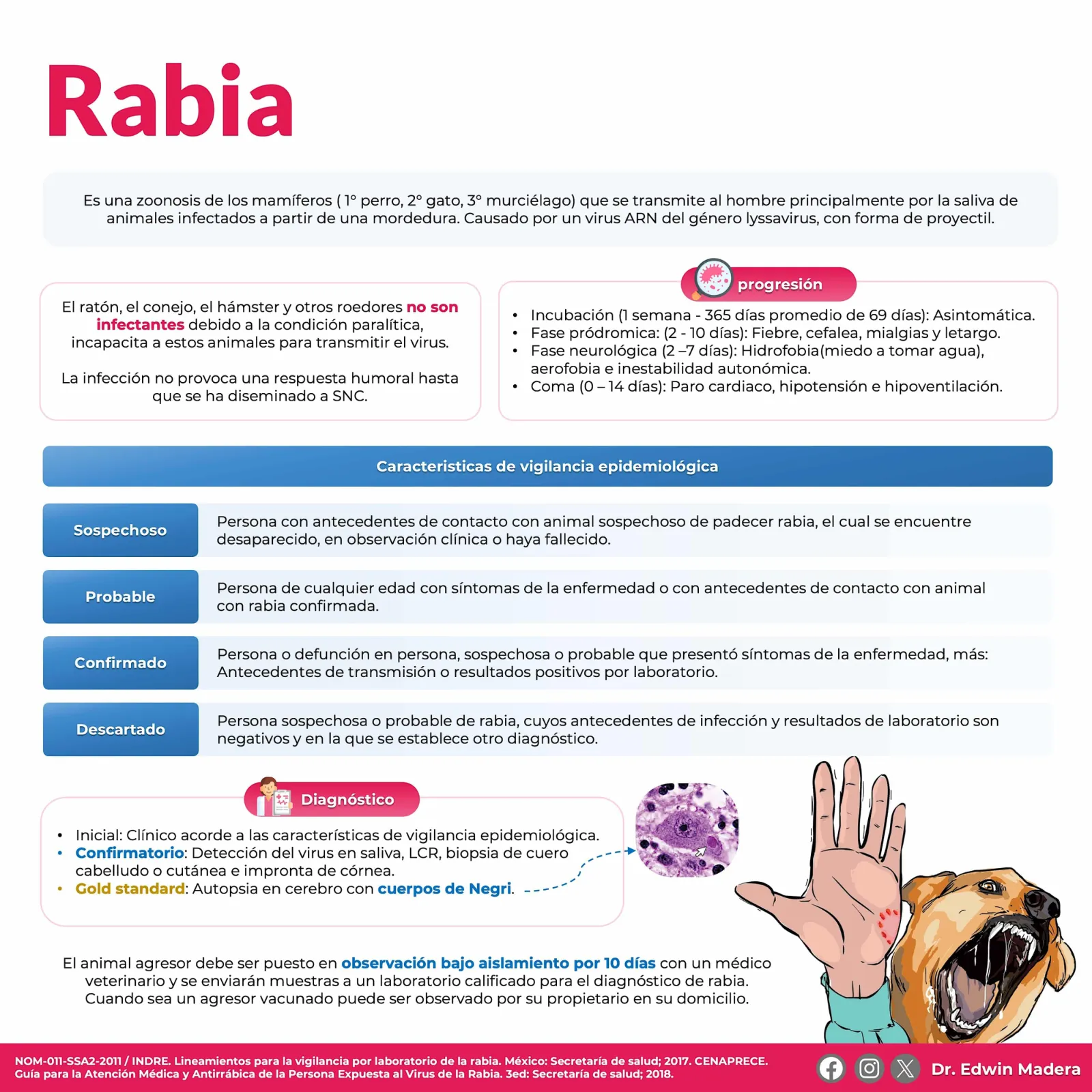 Rabia