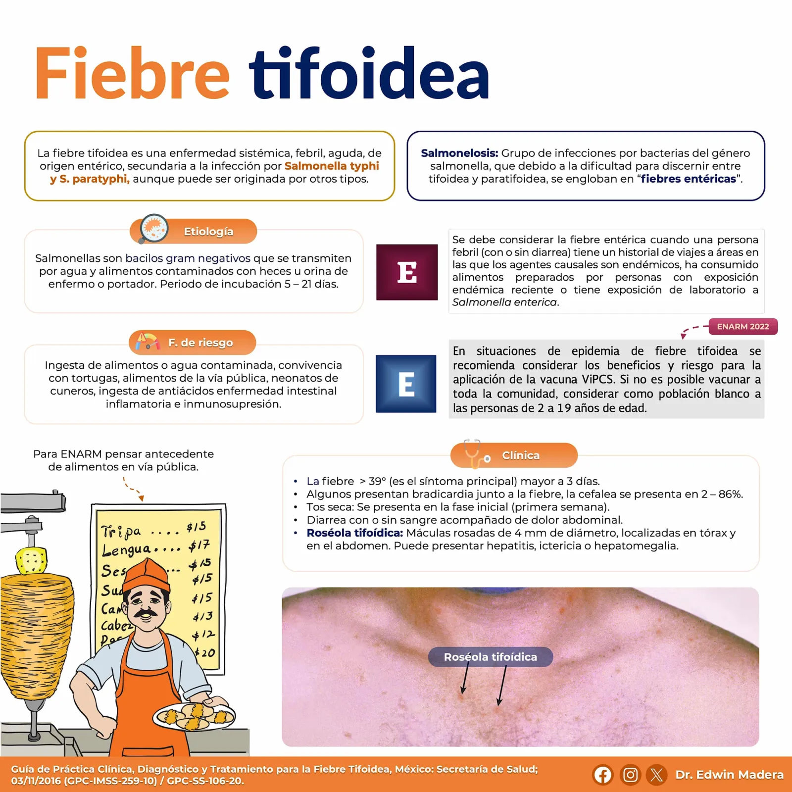 Salmonella Fiebre tifoidea