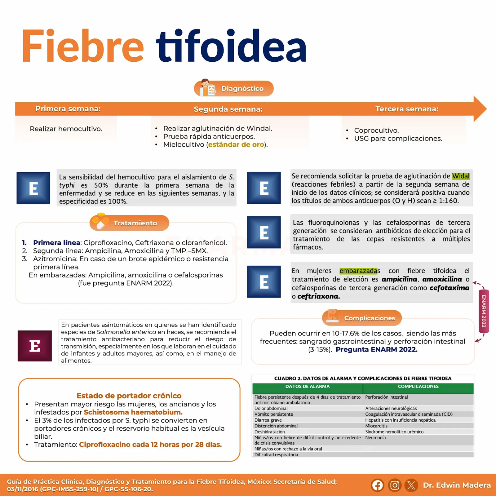 Salmonella Fiebre tifoidea
