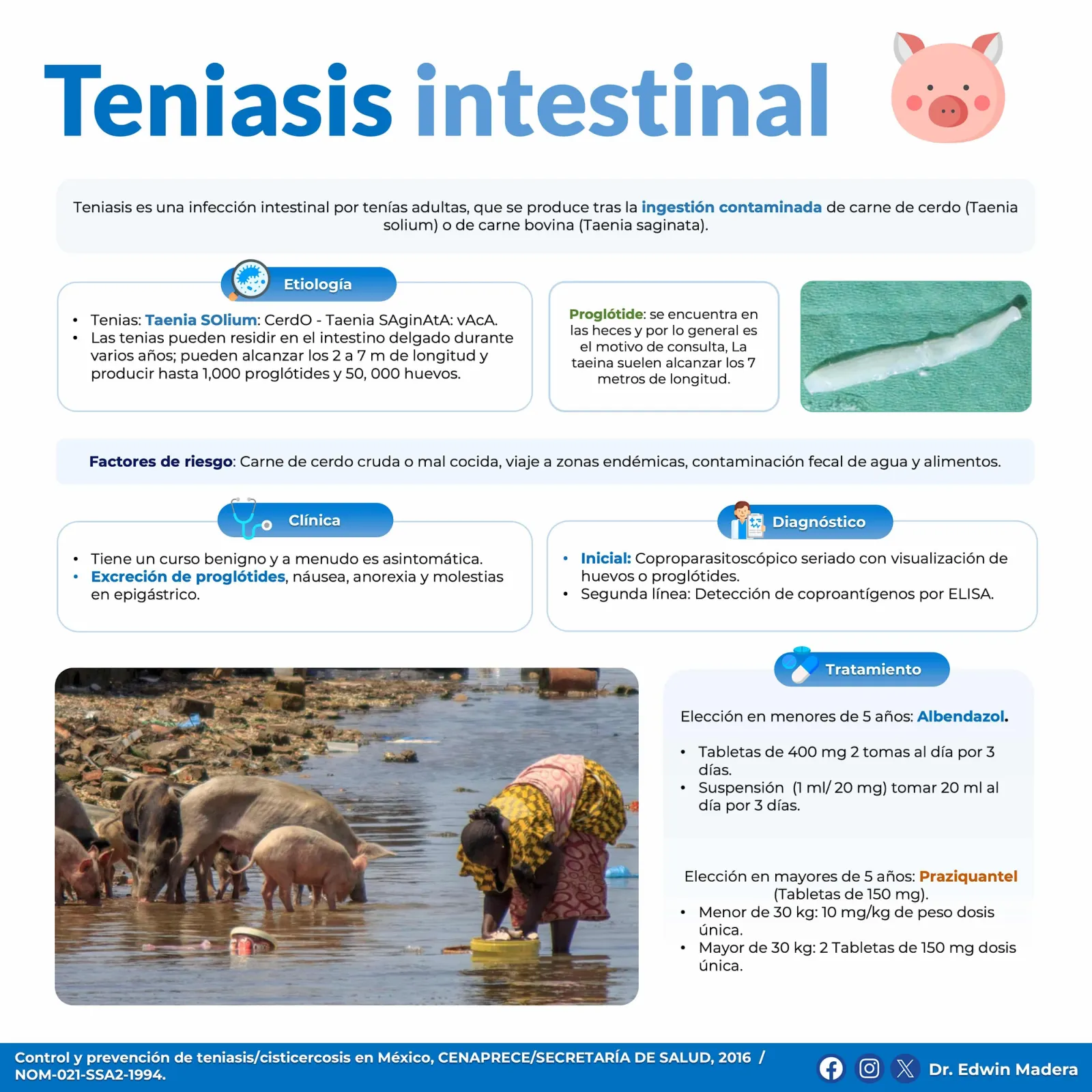 Teniasis intestinal