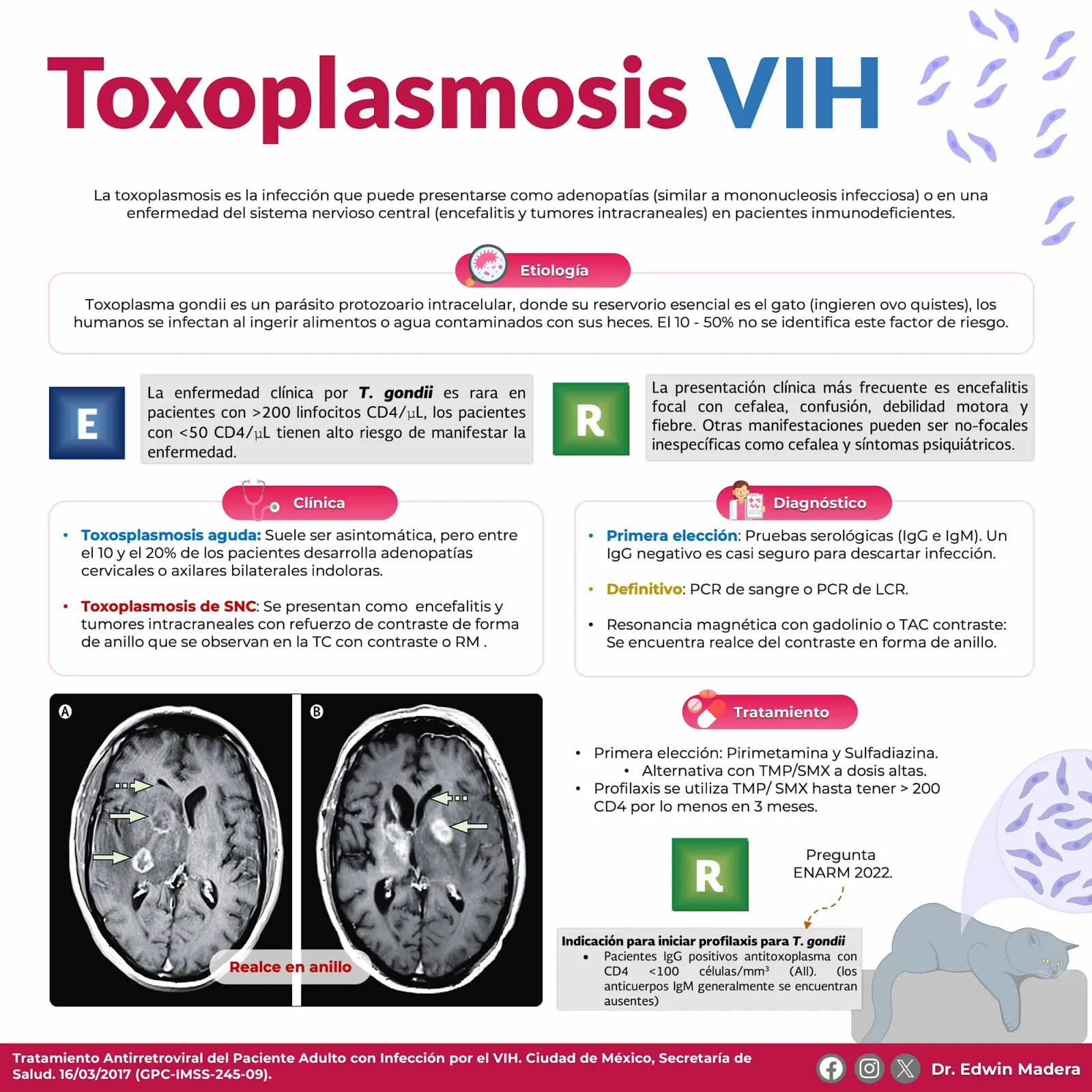 Toxoplasmosis VIH