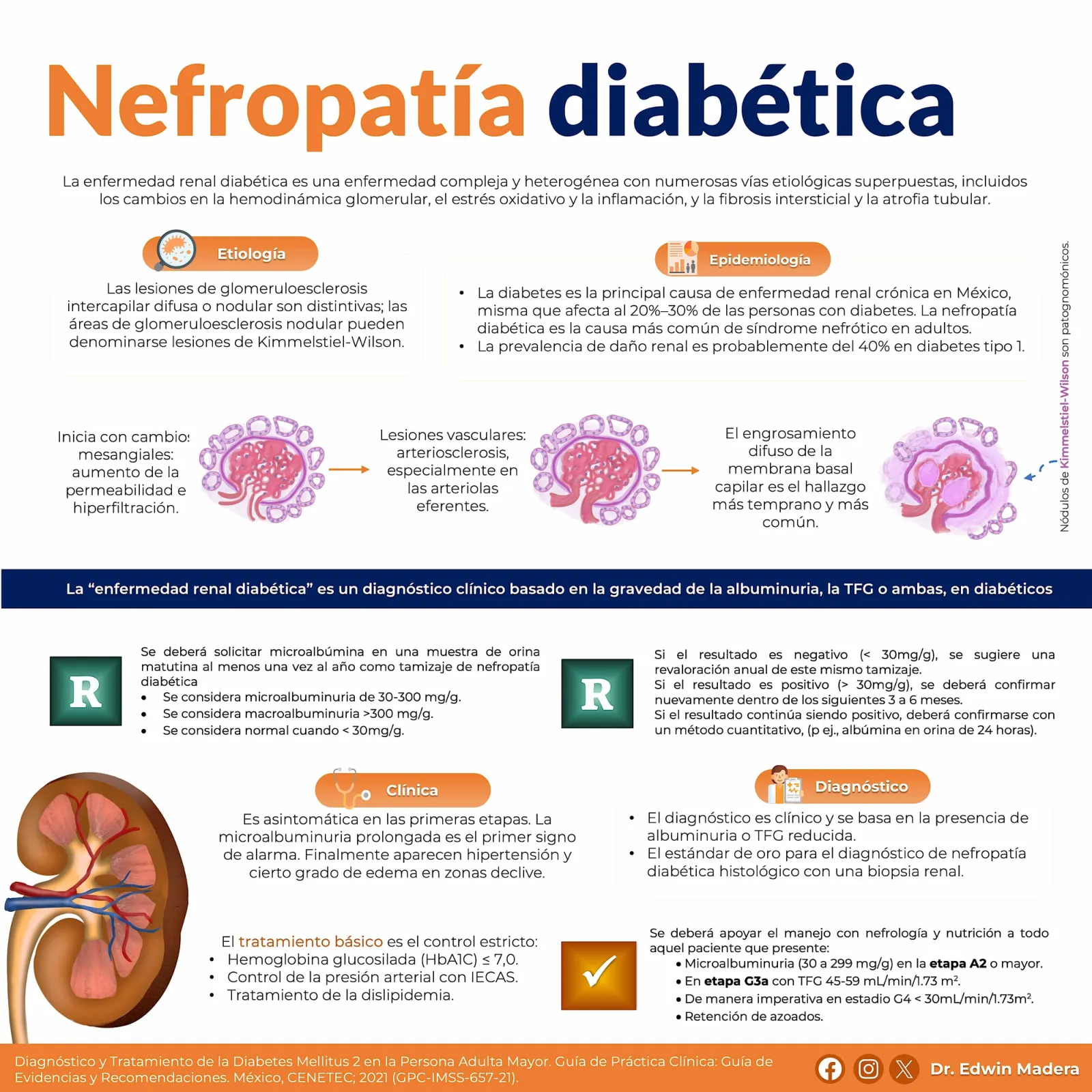 Nefropatía diabética