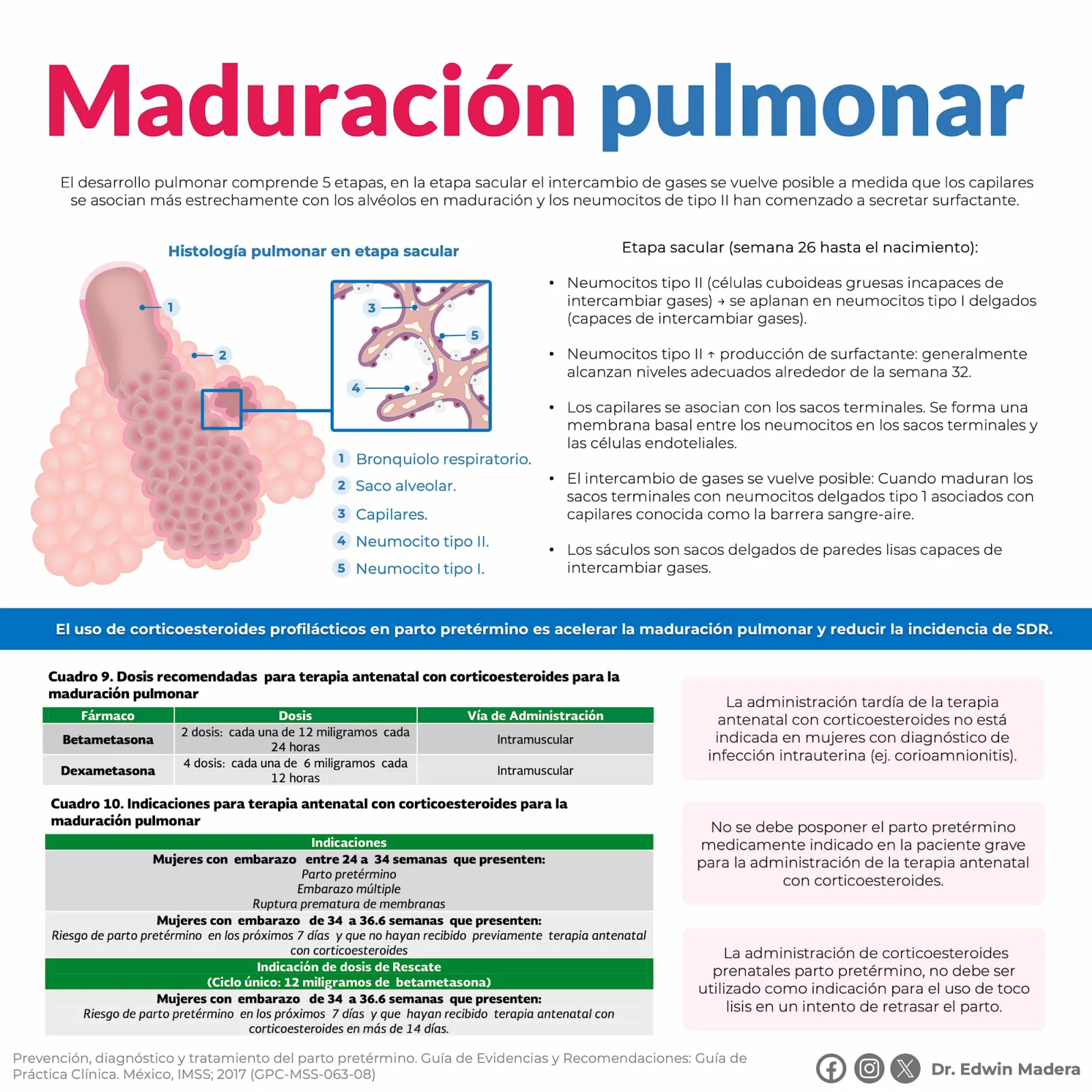Maduración pulmonar