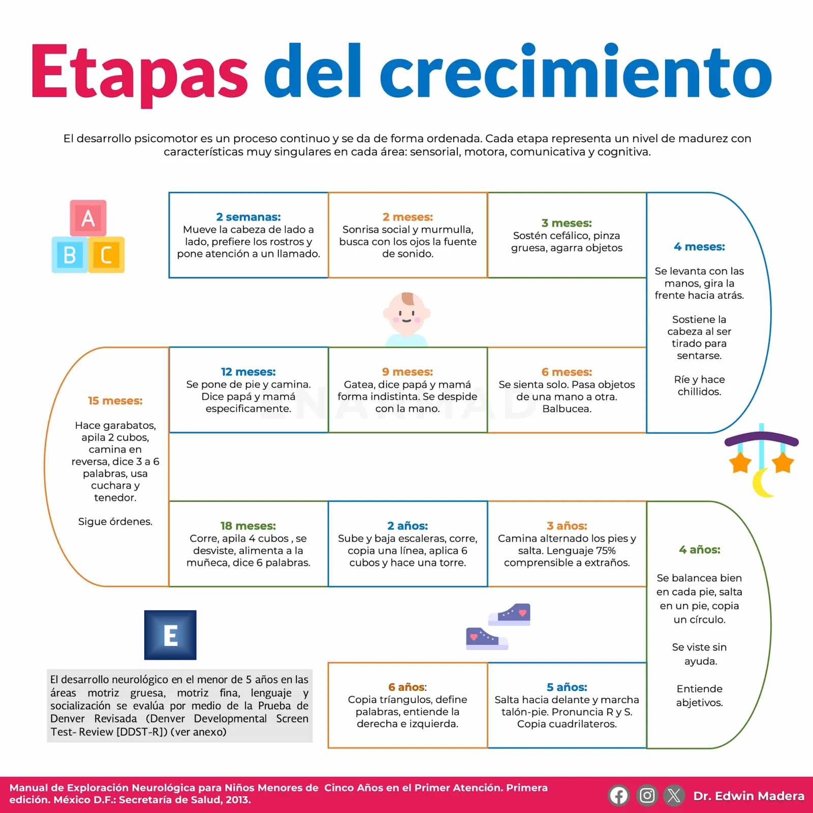 Etapas del crecimiento
