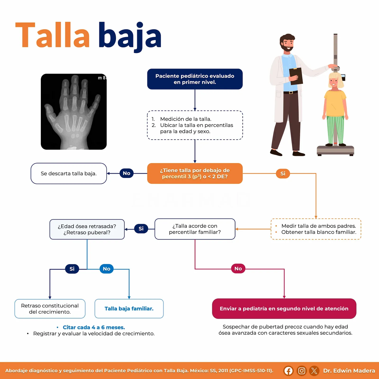 Talla baja
