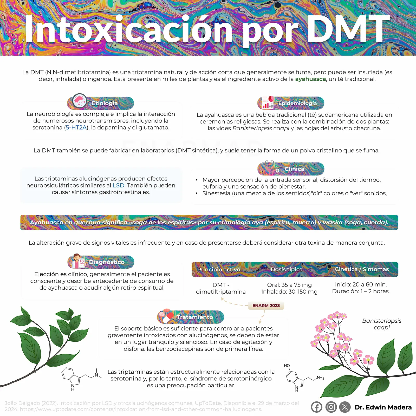 Intoxicación por DMT
