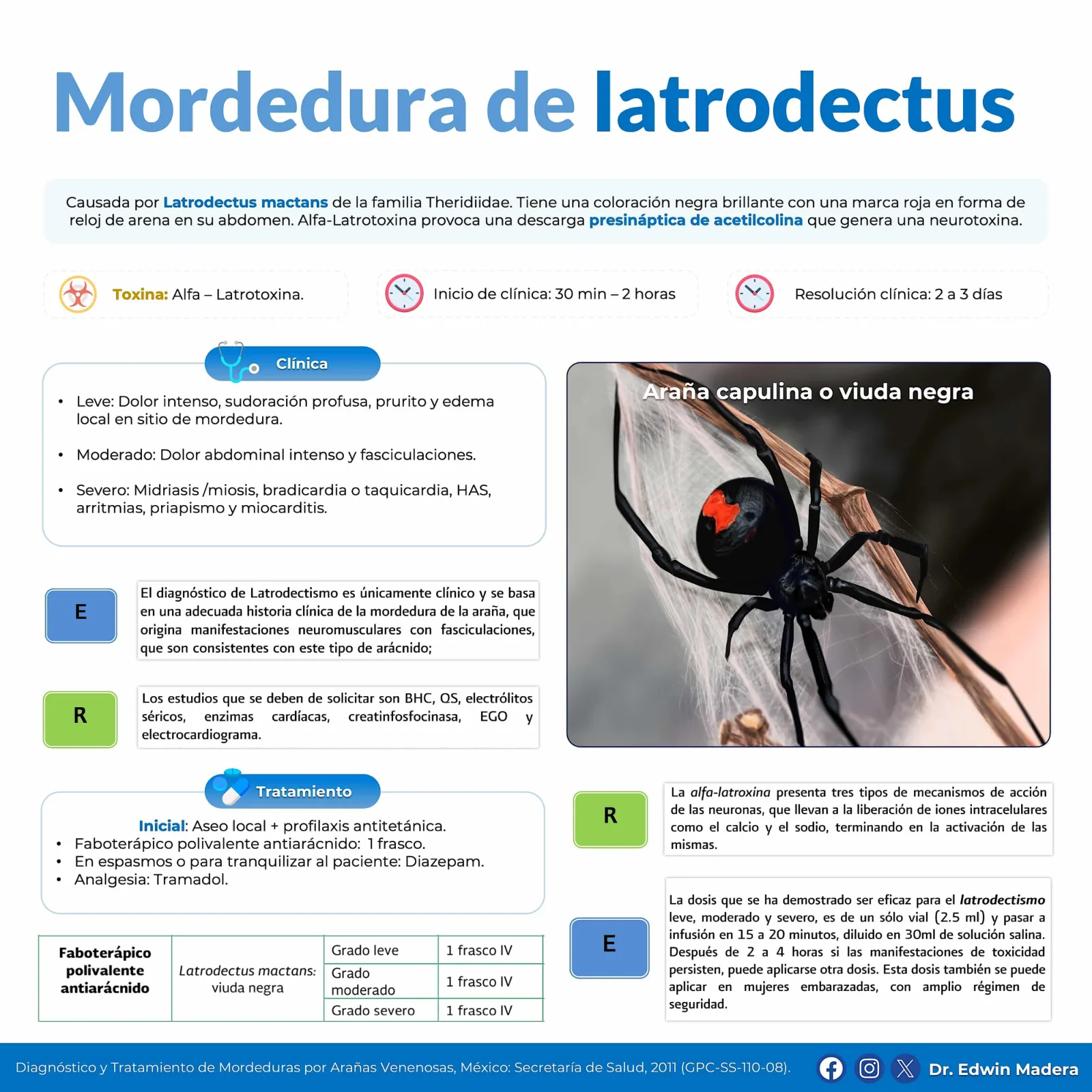 Lactrodectus
