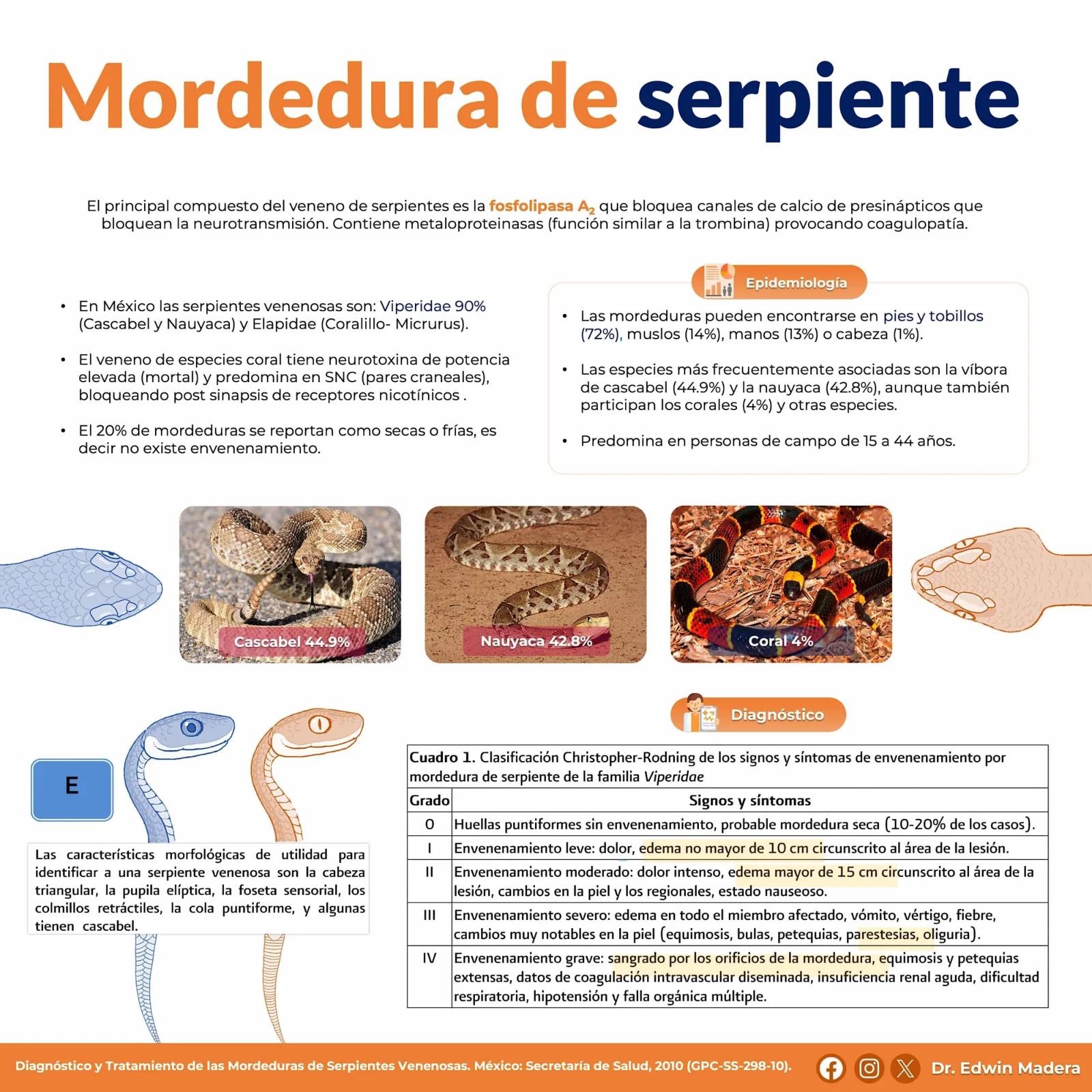 Mordedura de serpiente