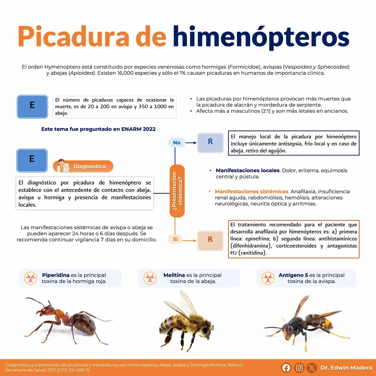 Picadura de himenópteros